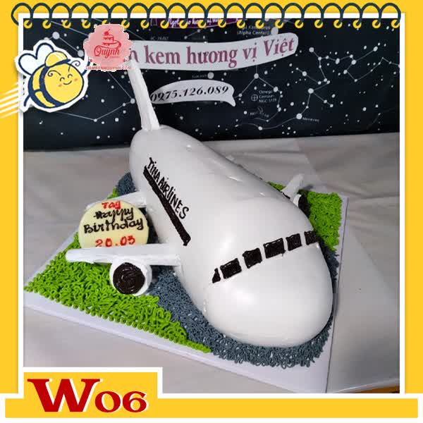 Bánh kem máy bay W06 màu trắng cửa sổ đen đang ở trên đường băng xám cỏ xanh
